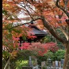 鎌倉 妙本寺-6