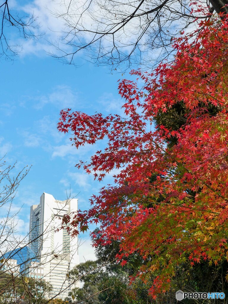 読めないでしょ、掃部山(かもんやま)公園