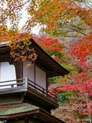 三渓園 横浜-1