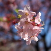 bIMG_0614