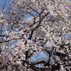b_IMG_0569