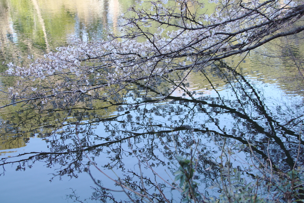 bIMG_0694