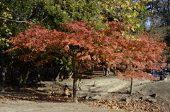 _DSC0748