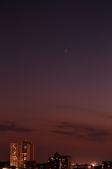 宵の明星