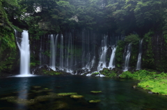 涼を求めて