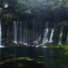 涼を求めて