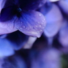 梅雨時