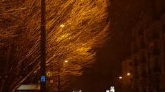 雪の降る朝