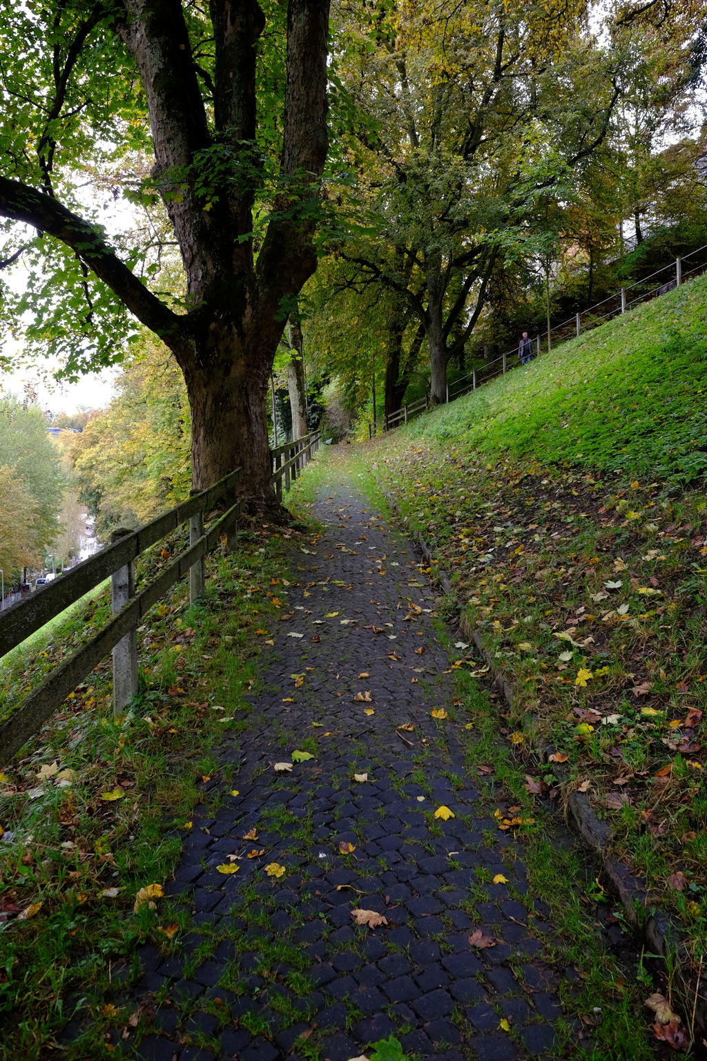ベルン旧市街の散歩道
