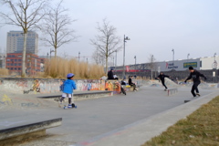 Cool boarders