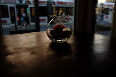 金魚鉢