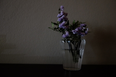 静かに呼吸する花