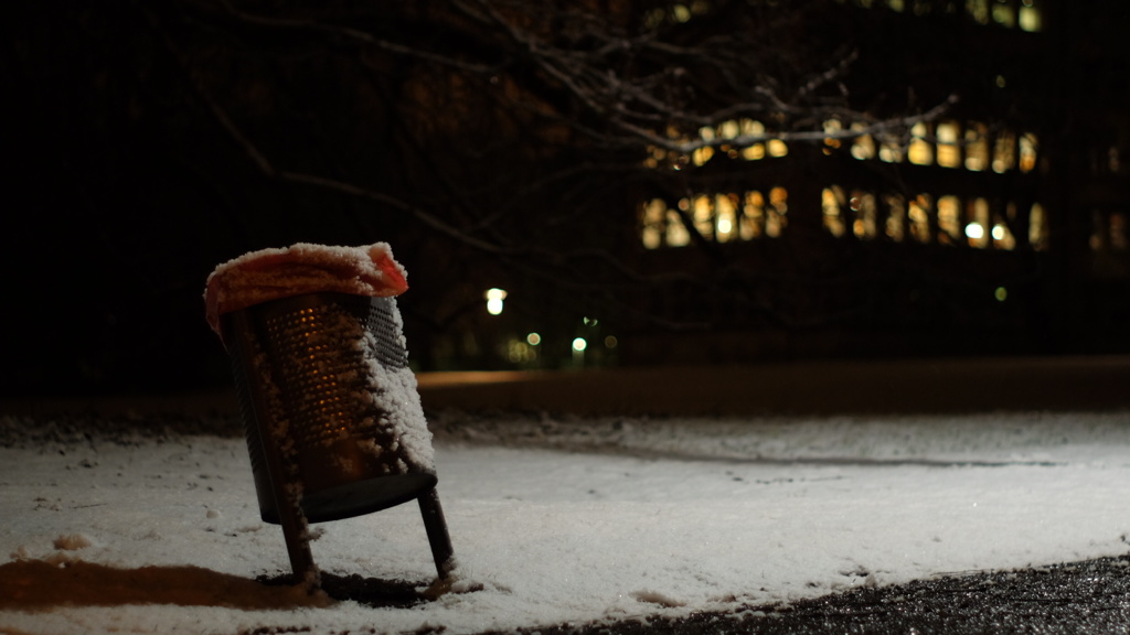 ゴミ箱も雪化粧