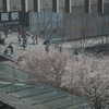 大阪 春の陣