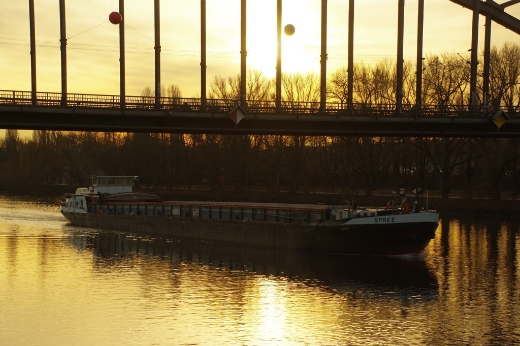 黄金の川を進む船