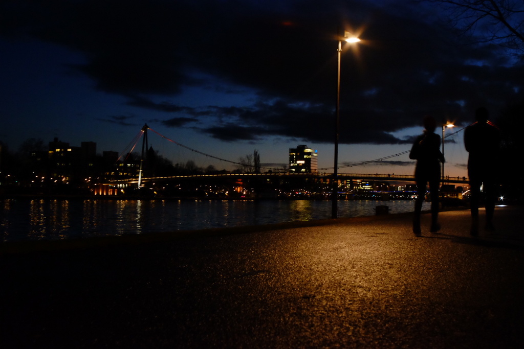 思い思いの過ごし方