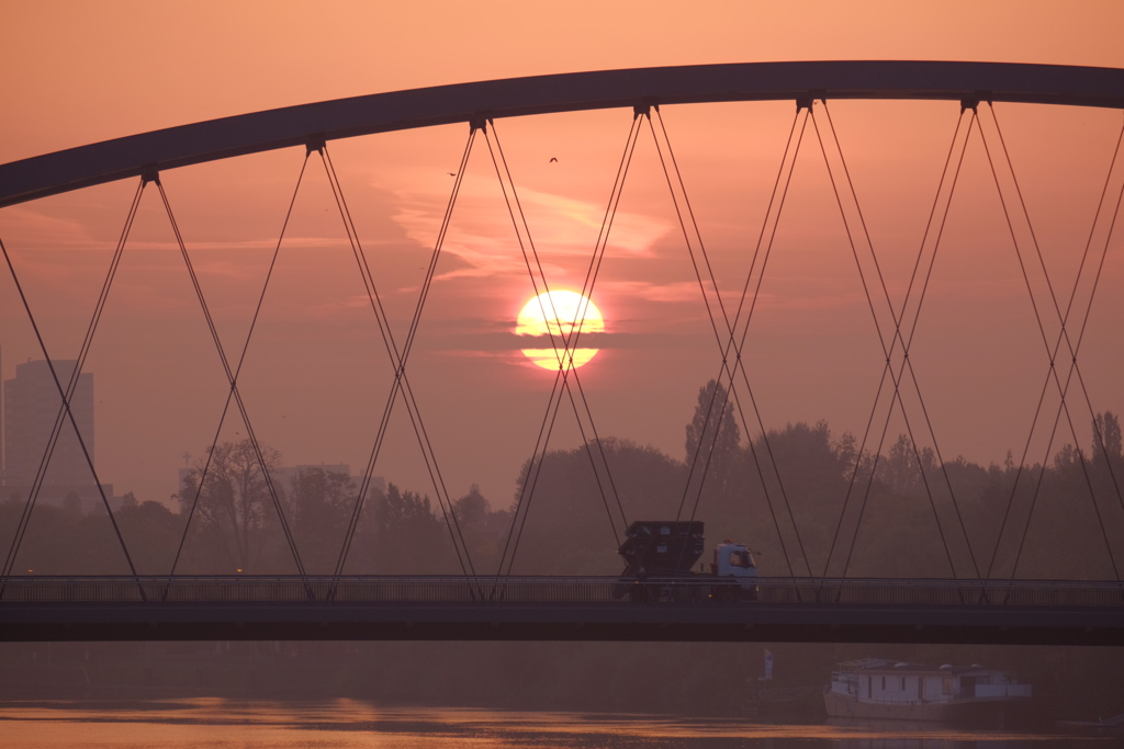マイン川の大きな朝日
