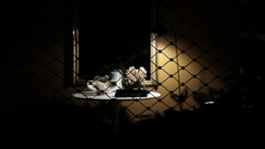 建築事務所のインテリア