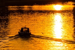 朝日に漕ぎ出すボート 追う水鳥