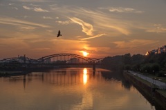 マイン川の朝焼けと飛ぶ鳥 再現像