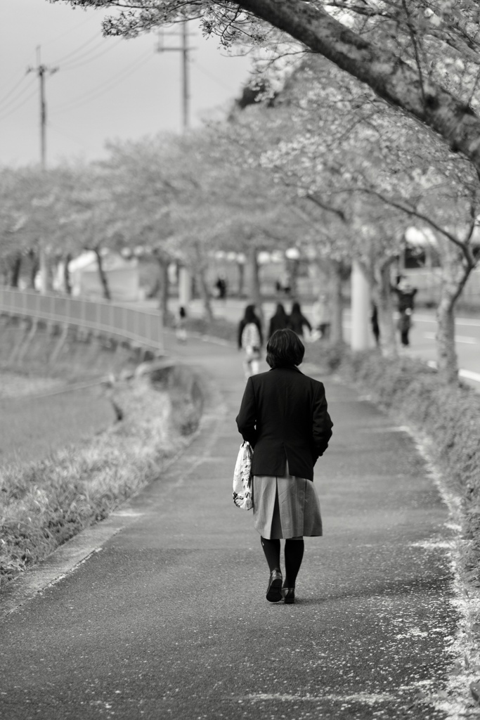 サクラ バイバイ