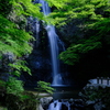 新緑の箕面大滝