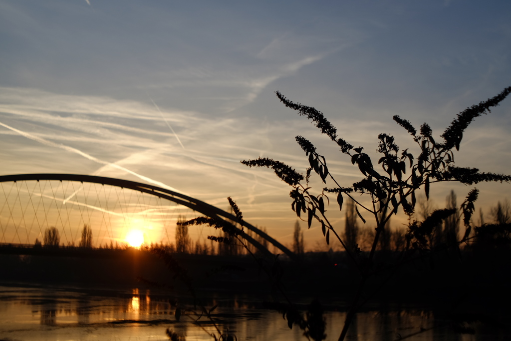 マイン川の朝日