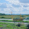 農場からの景色 秋