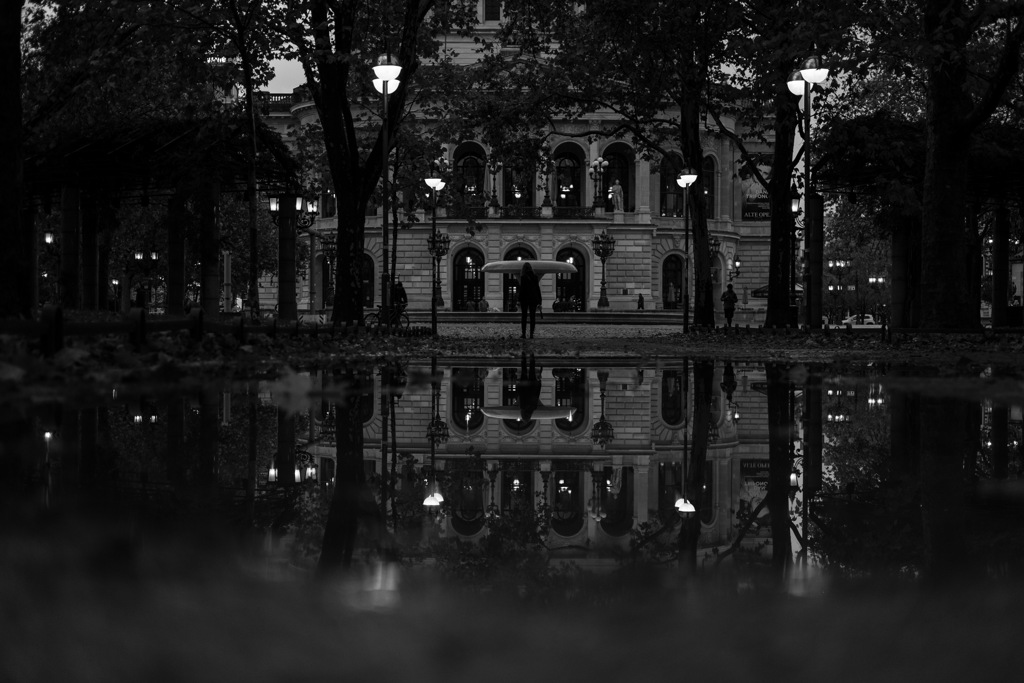 雨が残した鏡の世界
