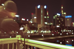 夜景に溶け込む男