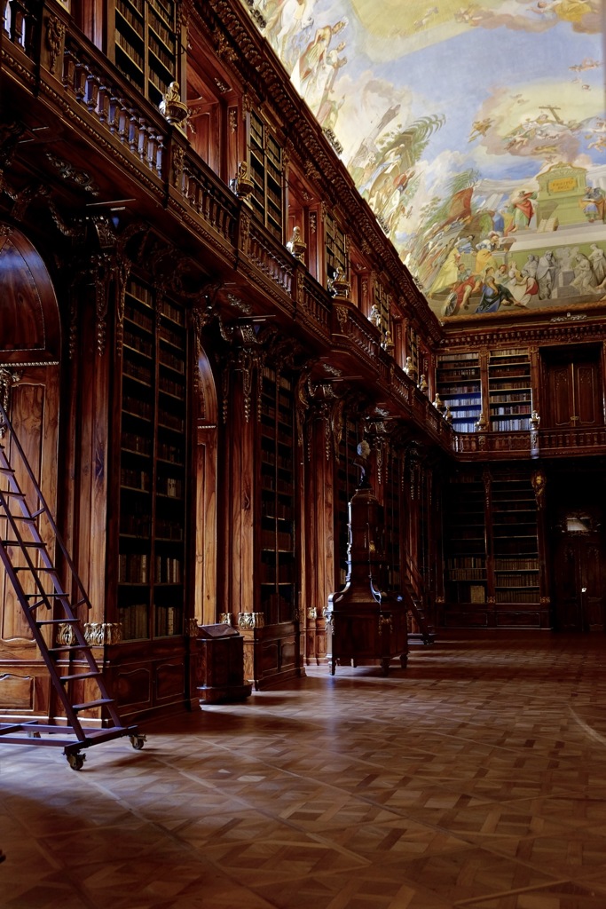 光差す図書館
