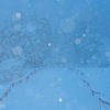 雪の散歩道