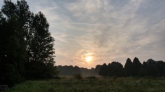 Camp Phoenix Park の朝