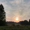 Camp Phoenix Park の朝