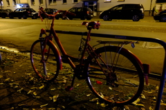 紅葉した自転車