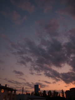 秋の到来を告げる空