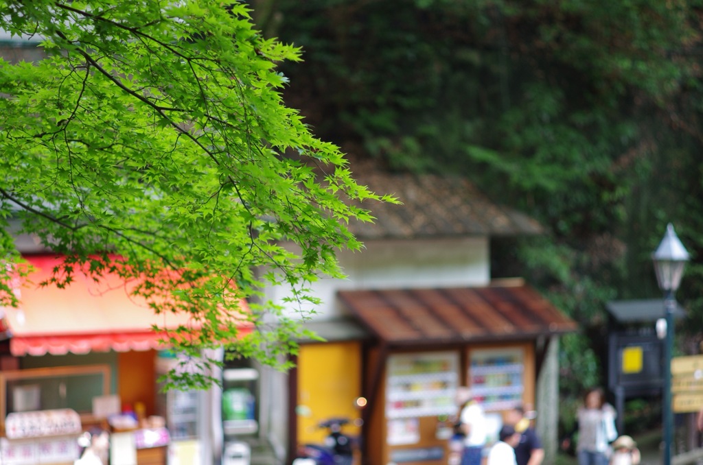 箕面の滝②