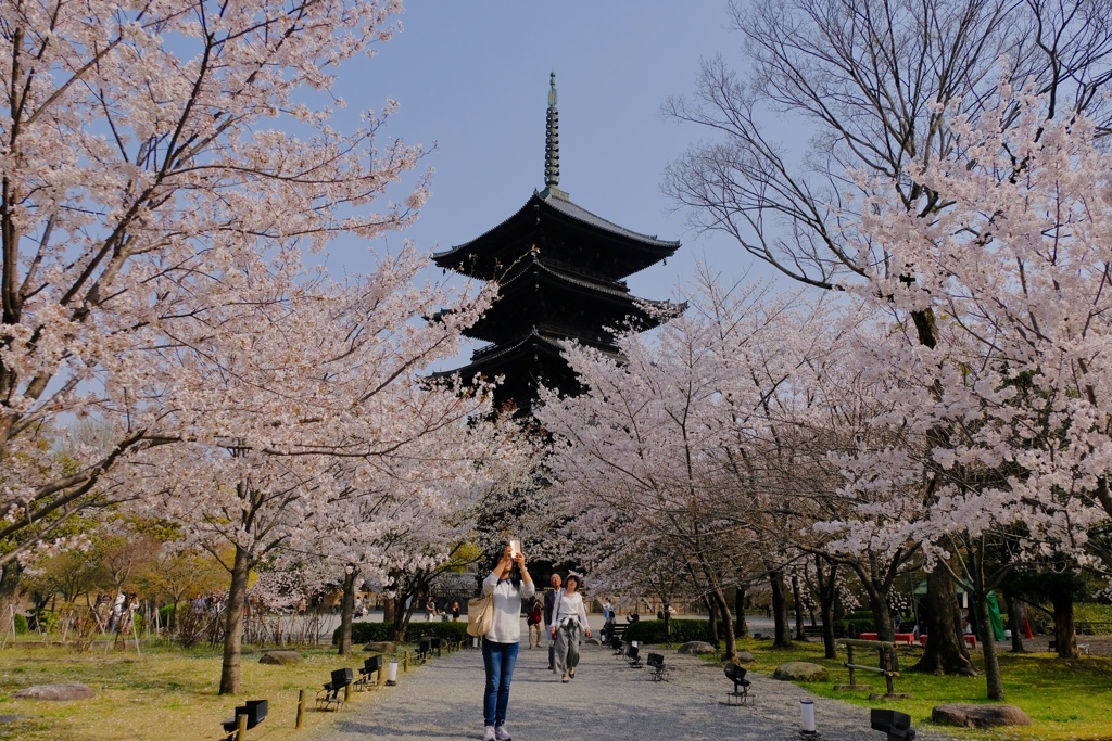 東寺 五重の塔