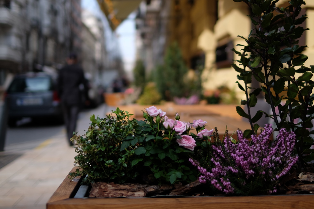 街角の花壇