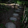 木陰の小路
