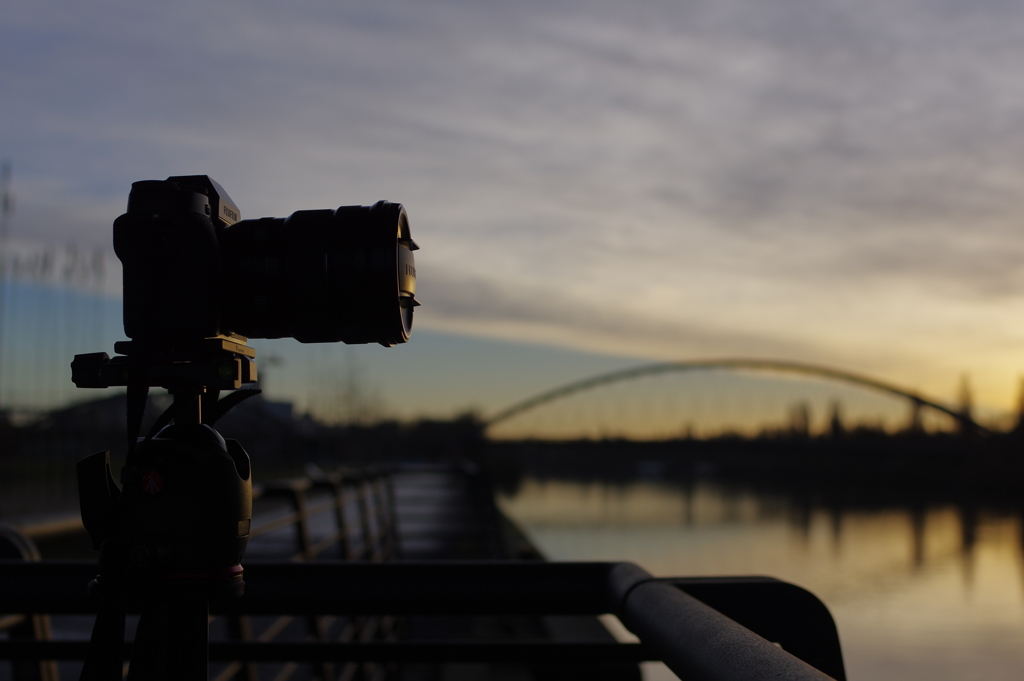 もう一つの横顔