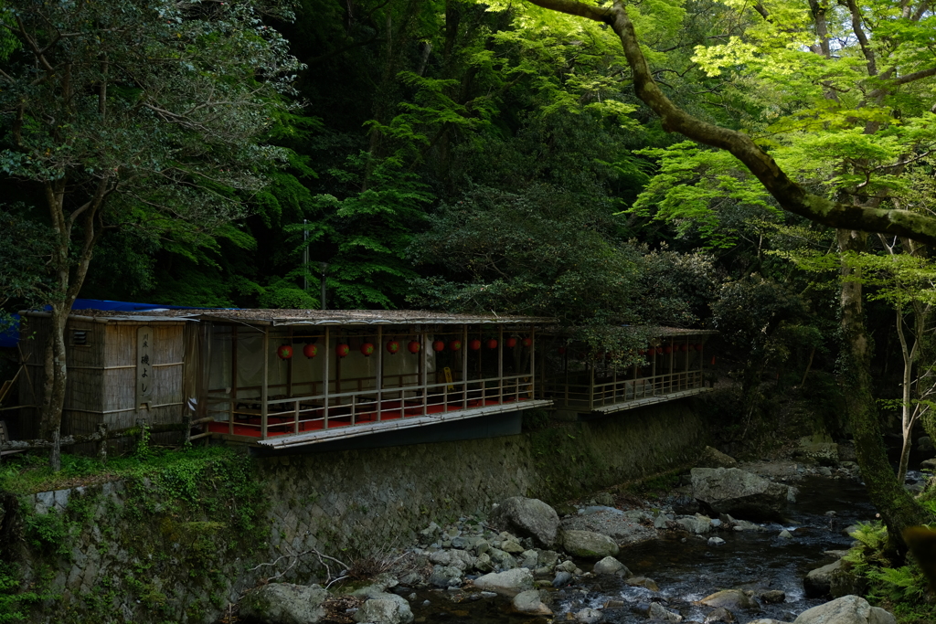 木陰の茶屋