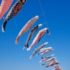 七里御浜の鯉のぼり