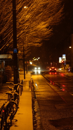 雪の通勤路