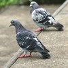 ちょっと休憩。