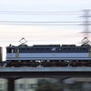 JR Freight “EF65”
