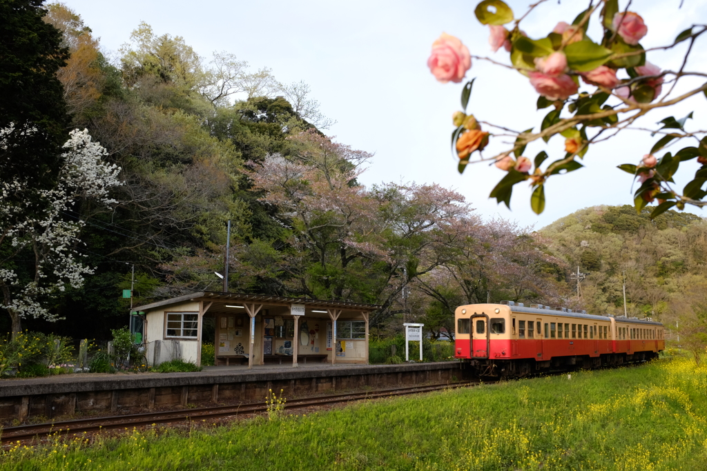 トトロの駅