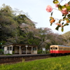 トトロの駅