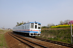 常総線の春、広い空。