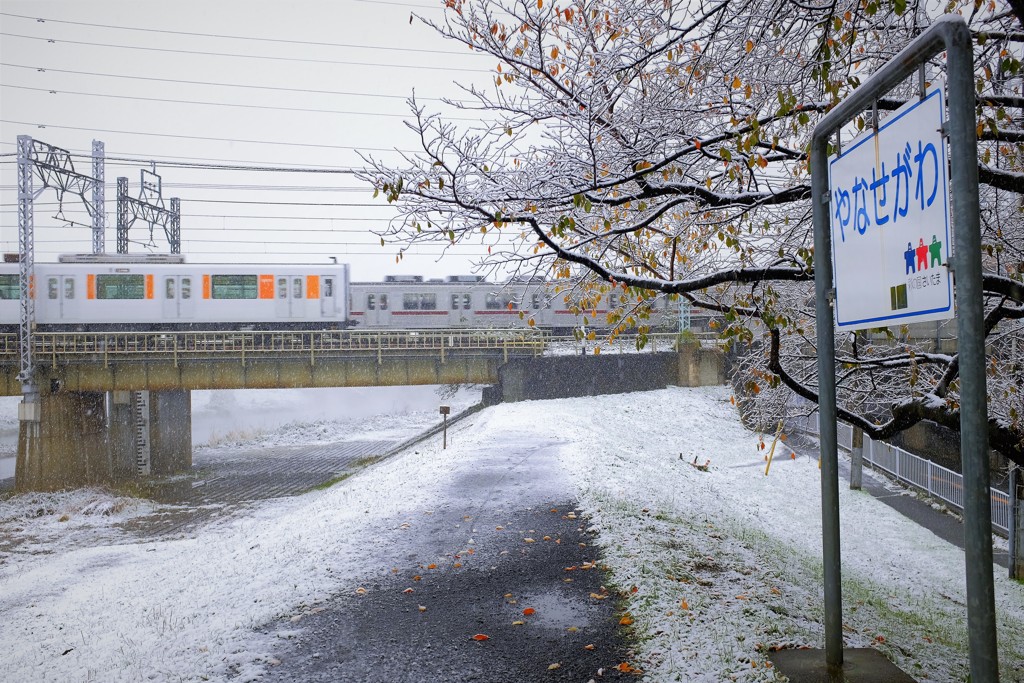 11月の初雪。